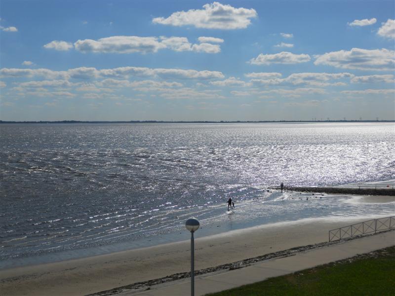 DSCN1225 (Medium).jpg